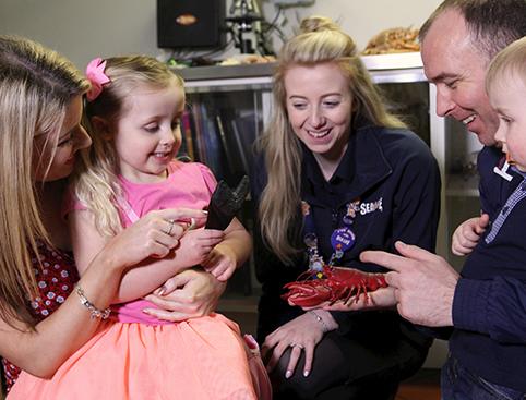 A family interacts with an educator, handling a lobster and a penguin model in a learning environment.