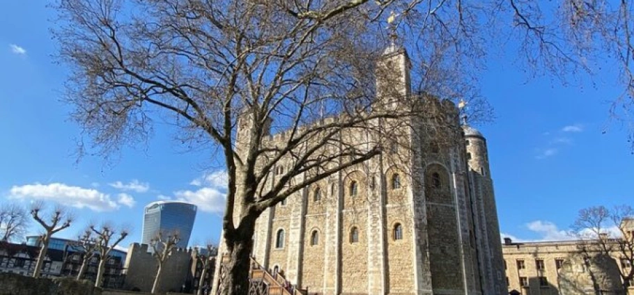 Half Day London Eye and Tower of London Tour | Tower of London with a tree in the foreground and a modern building in the background under a clear blue sky.