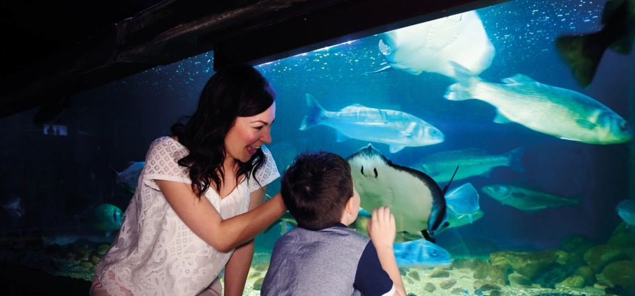 Mother and child enjoying marine life at an aquarium exhibit SEA LIFE London