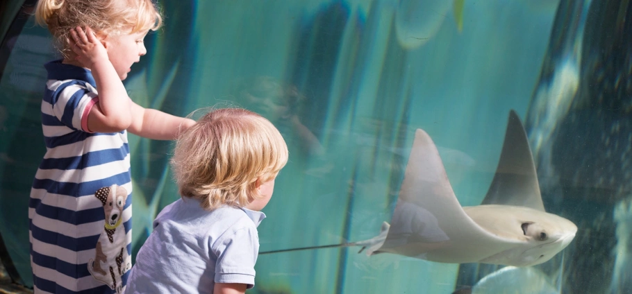 Two children watching a stingray in an aquarium exhibit SEA LIFE London 