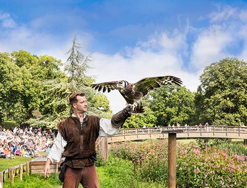 Warwick Castle Tickets | A man in medieval costume holding a hawk with extended wings, with a bridge and an audience in the background.