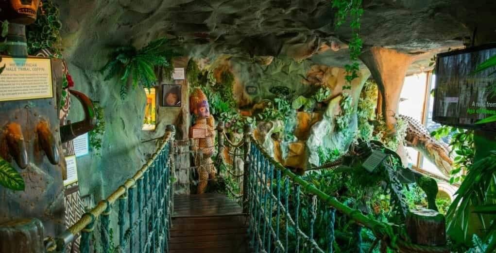 Rope-and-wooden-plank walkway leading into a cave-like indoor exhibit filled with lush tropical plants, a carved tribal statue and animal decorations, with interpretive signs on the left and bright window light on the right