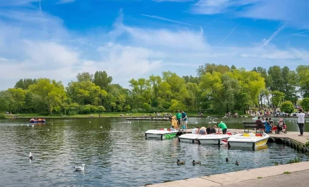 People gather on a lakeside dock beside several colourful pedal boats, with ducks and gulls on the water and a green, tree-lined park under a blue sky.